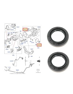 2 Paraolio Trasmissione Ponte Posteriore Cambio Automatico Range Rover Evoque