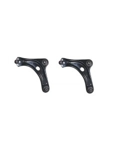 2 Bracci Oscillanti Anteriore Peugeot 1007 Citroen C2 C3 FC, FN