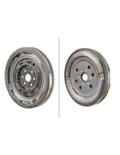 LuK 415074209 Volano Cambio Automatico