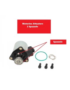 Motorino Attuatore Cambio Robotizzato TOYOTA CITROEN PEUGEOT 2 Spazzole