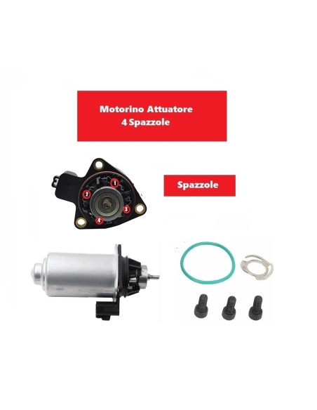 Motorino Attuatore Cambio Robotizzato TOYOTA CITROEN PEUGEOT 4 Spazzole